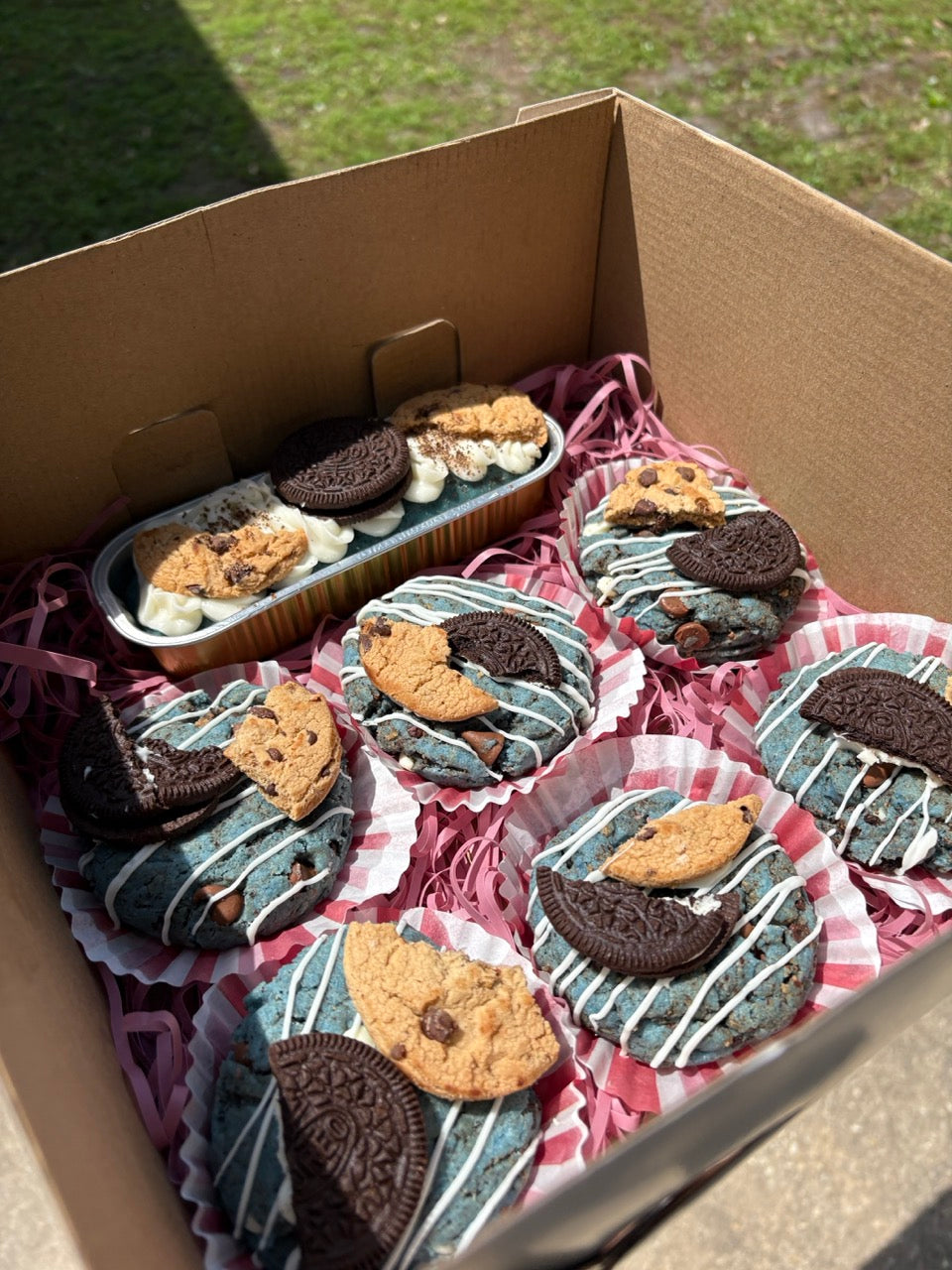 Snack Packs