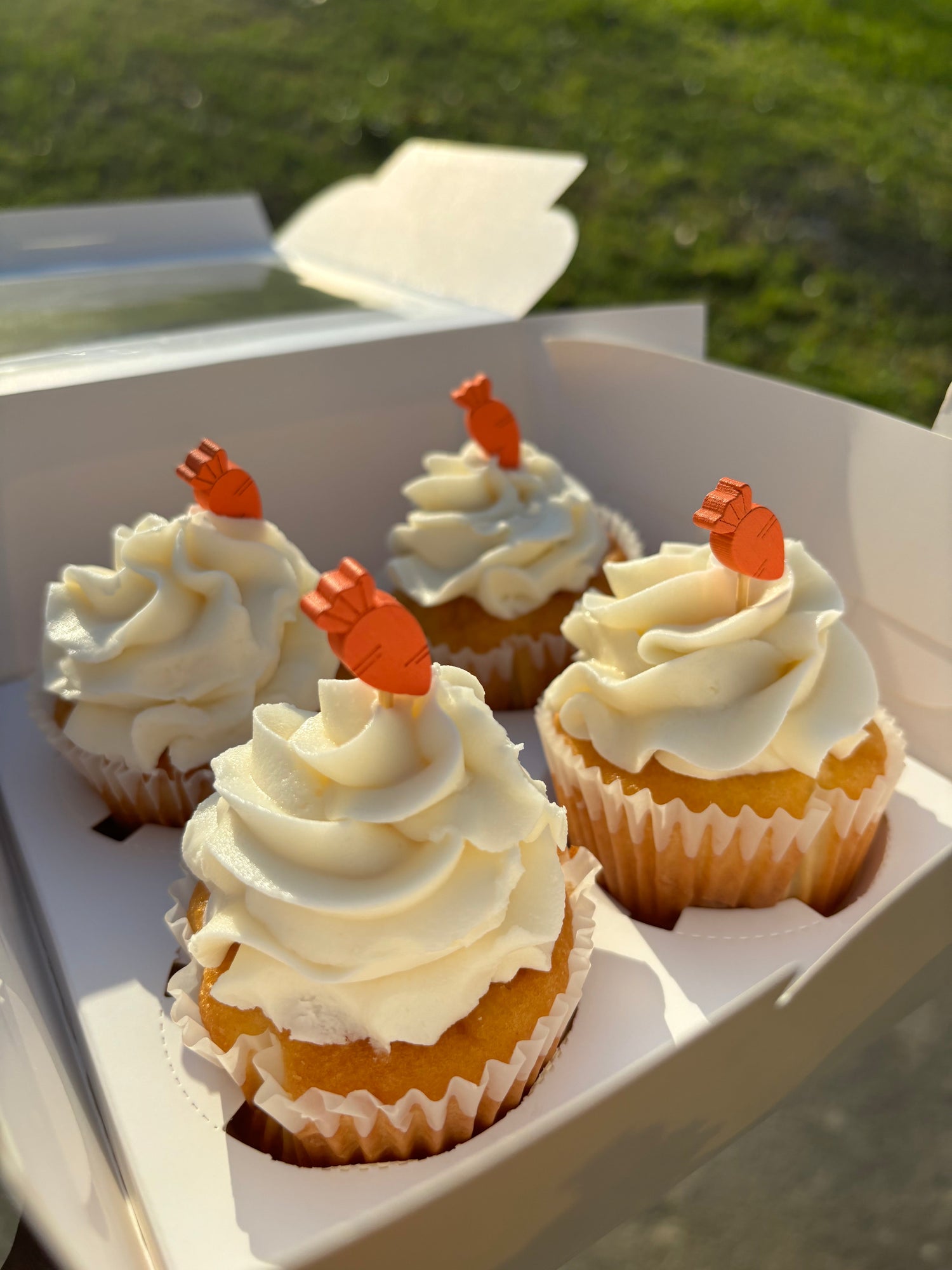 Shop Cupcakes
